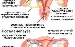 Полное восстановление менструального цикла после родов: сроки, особенности