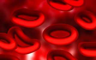 RBC в анализе крови — что это такое, норма и отклонения