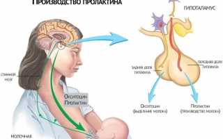 Почему может быть выявлена  гиперпролактинемия у женщин