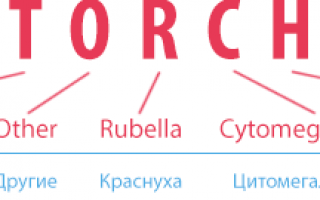 Зачем сдавать анализы на ТОРЧ-инфекции