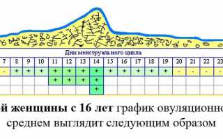 Какие можно и нельзя сдавать анализы во время месячных