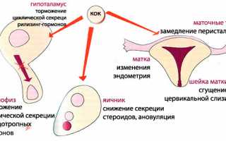 Простые и доступные способы, как отсрочить месячные на несколько дней