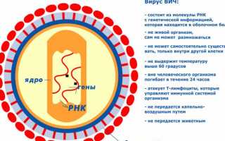 Как меняются месячные при ВИЧ