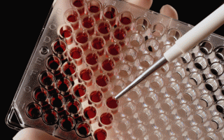 Биохимический анализ крови здорового человека