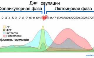 ЛГ гормон — что это такое, таблица норм гормона в анализе крови