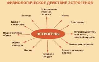 Как влияют фитоэстрогены на организм, где их можно найти