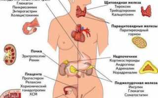 Как проявляется нарушение гормонального фона